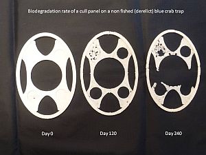 cull panel series 1